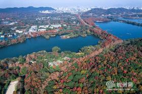 初冬杭州西湖，如绝版油画般的美景