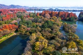 杭州秋景