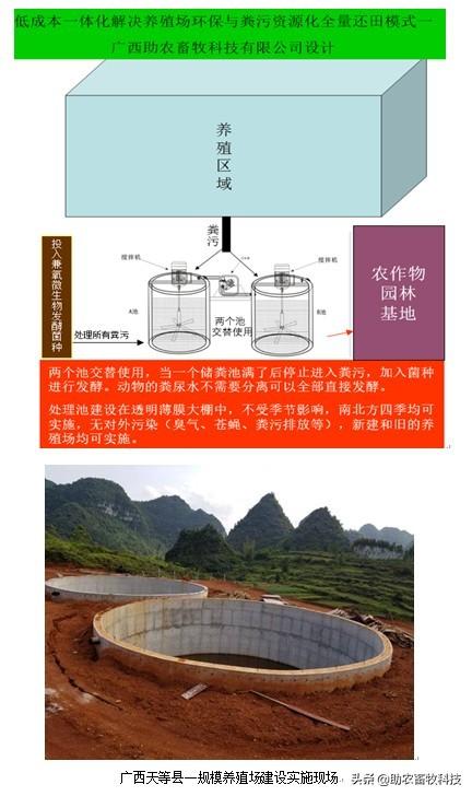 猪场投资参考，养殖面积与投入成本概览