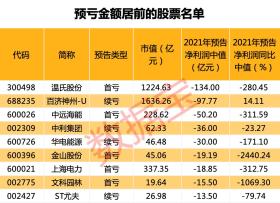 2024年新澳门今晚开奖结果2024年|定制化执行方案分析