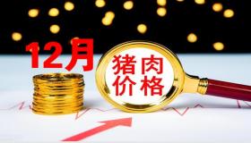 2022年底猪价预测：危险正在来临，12月国内猪价将迎大跌