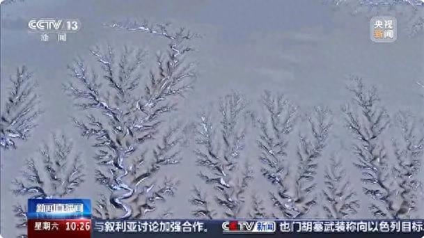 新疆雪后奇景，大地之树惊艳亮相